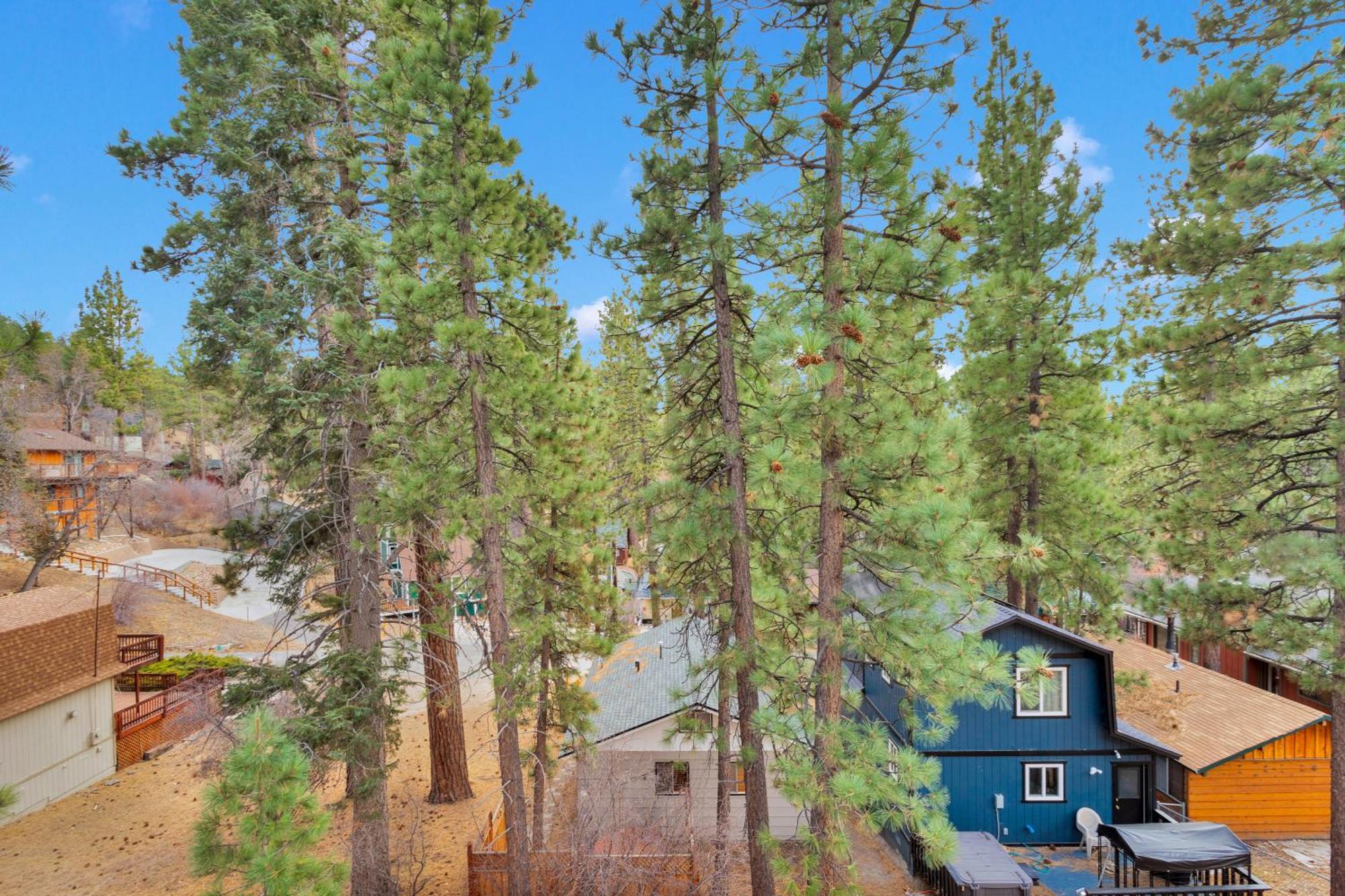 Cozy Crescent Tree Cabin Near Bear Mountain بيغ بير لاكي، سان بيرناردينو، كاليفورنيا المظهر الخارجي الصورة